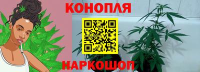 спиды Малгобек