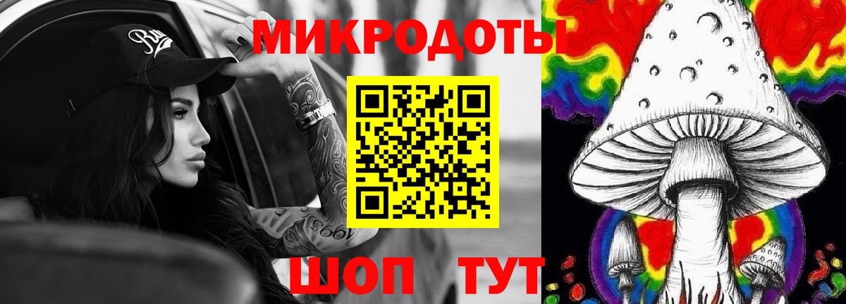 Псилоцибиновые грибы мицелий Саратов